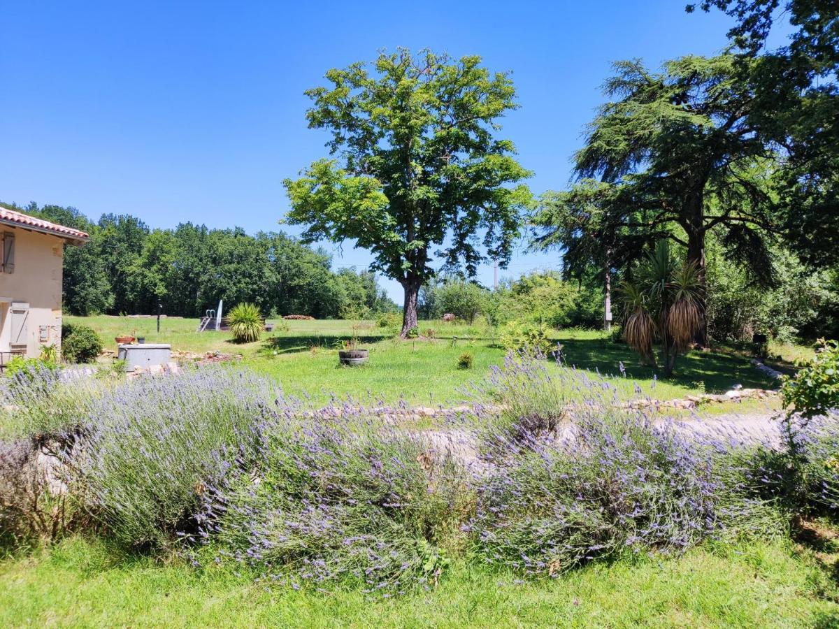 Hotel La Première Vigne Puycelci Esterno foto